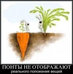 понты-песочница-118241.jpeg