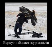 8387840_berkut-izbivaet-zhurnalista.jpg