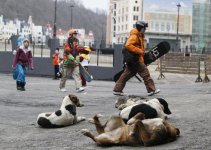 sochi1.jpg