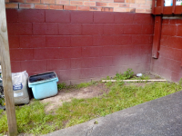IMG_20140810_110516.png IMG_20140810_110516.png