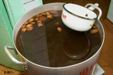 kompot.jpg