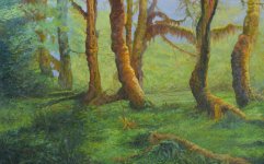 dance of  the forest giants post.jpg