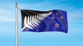 Silver-fern-black-white-and-blue-sm.jpg