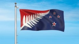 Silver-fern-red-white-and-blue-sm.jpg