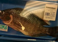 IMG_20160801_110639.jpg