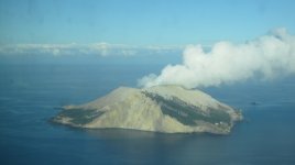 IMG_5935.JPG