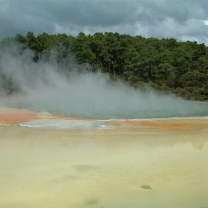 steaming hot lakes rotorua