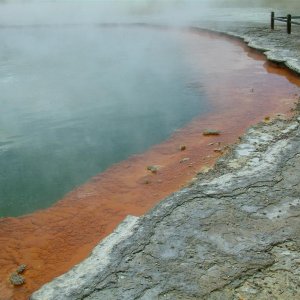 hot lakes rotorua