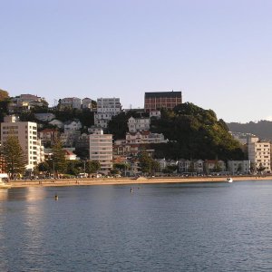 Wellington from Oriental Bay