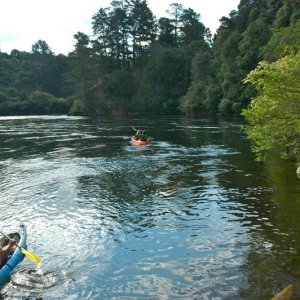 Waikato River near Cambridge