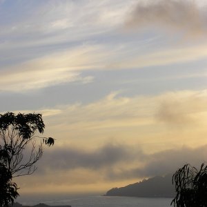Early morning