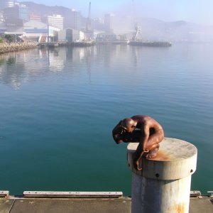 Waterfront