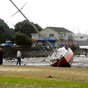 Okahu bay