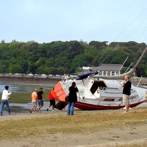 Okahu bay