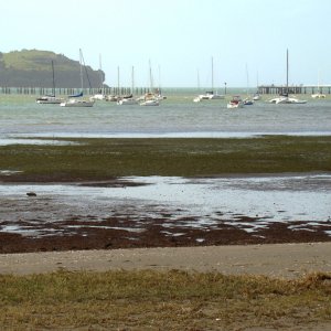 Okahu bay