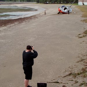 Okahu bay