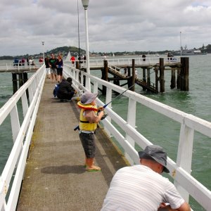 auckl2011.6