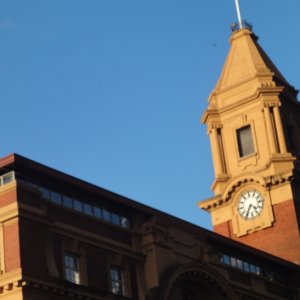 CBD