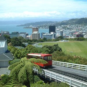 harbour view from botanical gardens