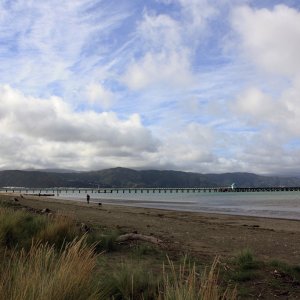 Petone Wharf