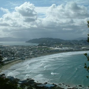 Lyall Bay
