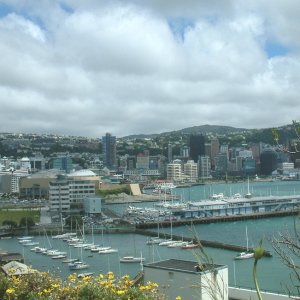 city view from Mt Vic