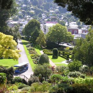 Dunedin Botanic Garden
