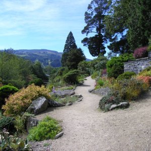 Dunedin Botanic Garden