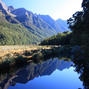 Milford sound