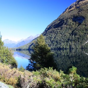 Milford sound