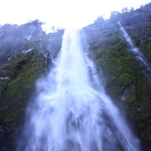 Milford sound