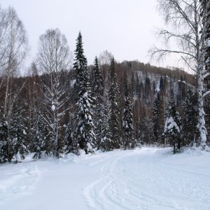 13966-p1181138