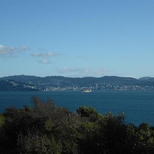 city view from somes island