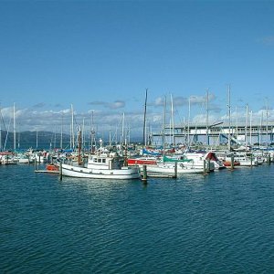 chaffers marina