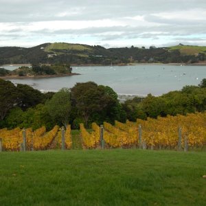 New Zealand