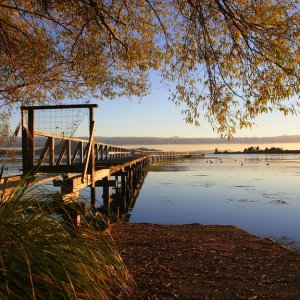 Autumn, Lake Taupo, New Zealand