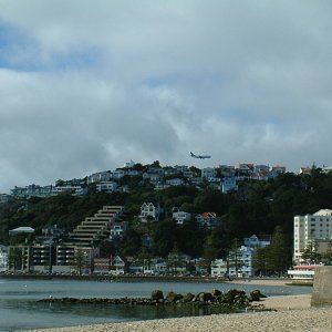 oriental bay