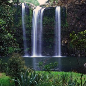 Whangarei Falls Whangarei Northland North Island New Zealand