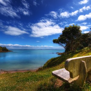 Beautiful Lookout , Chris Gin 