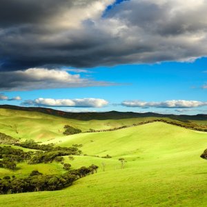 New Zealand landscape, Пичугин Дмитрий