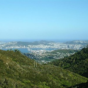 harbour view from mt kaukau