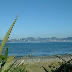 city view from petone