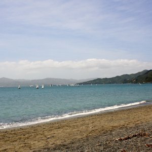 Eastbourne- view towards Days Bay