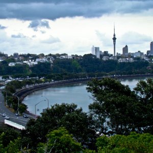 Tamaki Dr - City