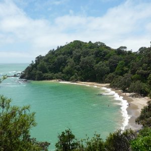 whale bay, northland
