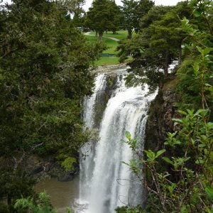 водопад whangarei falls