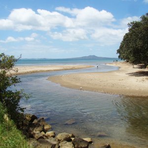 Browns bay