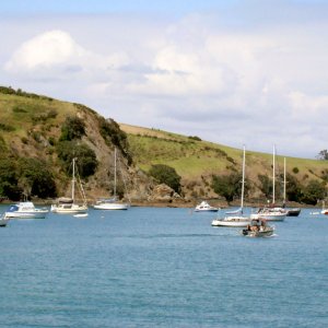Waiheke island