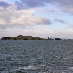 Motuihe Island