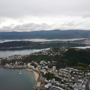 Oriental Bay 
